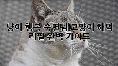냥이 행복 숙면템! 고양이 해먹 리필 완벽 가이드