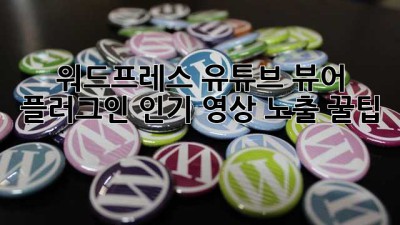 워드프레스 유튜브 뷰어 플러그인, 인기 영상 노출 꿀팁 🍯